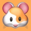 WWW,av217·COM网站APP最新版